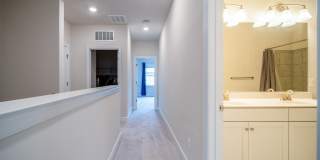 20656 RIVER LIFFEY Terrace Gallery 27