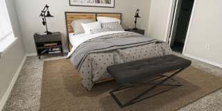 Timberline Gallery 53