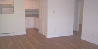 204 Newbury Ave Gallery 2