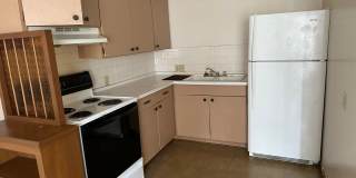 2 BEDROOM 1 BATHROOM APARTMENT FOR RENT Gallery 1