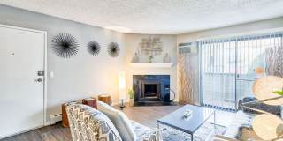 Miramar Apartments Gallery 6