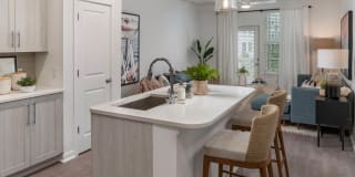 Essex Luxe Apartments Gallery 11