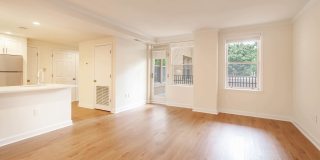 Alban Towers Gallery 7