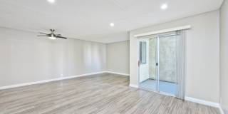 THE MODERN CACTUS Gallery 30