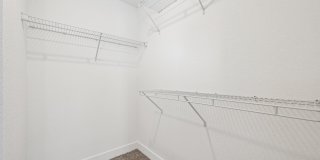Avanterra Black Forest Gallery 111