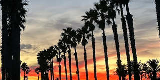 4830 Amalfi Way Gallery 16