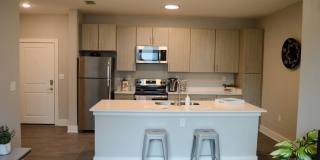 Student Housing - The Locale Tallahassee Gallery 13