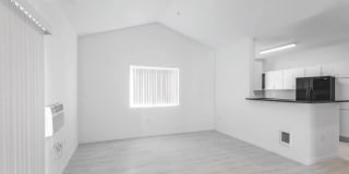 The Monika Gallery 4