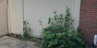 7970 Trellage Court Gallery 15