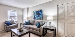 Misty Pines Gallery 15