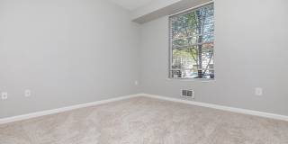 The Village at Town Center Gallery 93