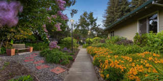 Riverwood Gallery 16