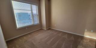 Luxury, Spacious 1 bedroom Apartment in Boulder at the Famous Peloton Gallery 19