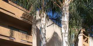 Vineland Gardens Gallery 1