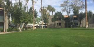 Paradise Greens Gallery 1