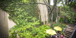 Grandin Gallery 7