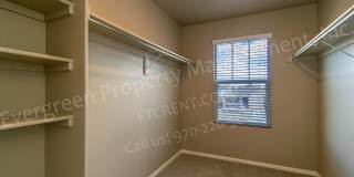 Spacious Home in Timnath Ranch Sub-Div! Gallery 21