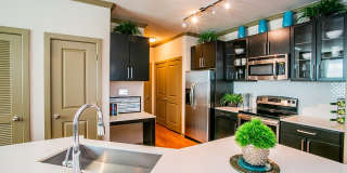 Aliso Briar Forest Gallery 11