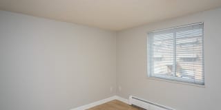 805 Dahlia Gallery 23