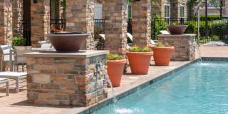 Red Knot at Edinburgh Gallery 42