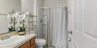 8201 GREEN PARROT Road unit: 307 Gallery 4