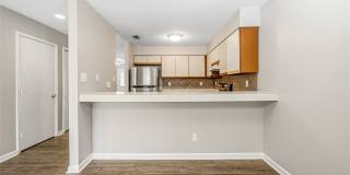 525 Cypress Trace Drive Gallery 16