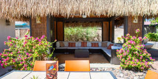 502 E Molino Road Gallery 65