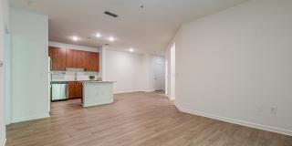 The Maddox Gallery 14