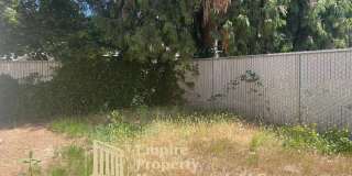 1303 Waite Street - 1311 Gallery 12