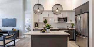 The Registry Las Olas Gallery 73