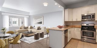 The Hawthorne Gallery 3