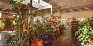 114 GREEN Lane Gallery 12