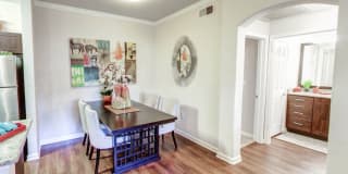 Nolina Flats Nolina Flats Gallery 9