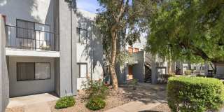 Acacia Hills Gallery 35