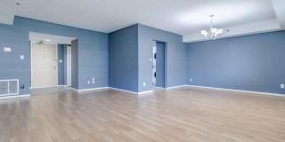 3713 S GEORGE MASON Drive Gallery 38