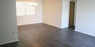 Beautiful large 2 bedroom 2 bath in New Port Richey Beautiful large 2 bedroom 2 bath in New Port Richey Gallery 3