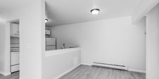 Aspen Flatz Gallery 15