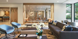 AVE Clifton Gallery 9