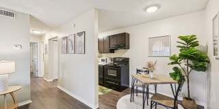 Sarasota South Gallery 8