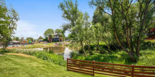 The Modern Gallery 67