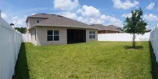 10525 CABBAGE TREE LOOP Gallery 1