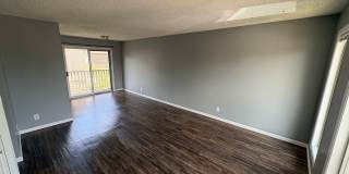 Par Lane Gallery 1