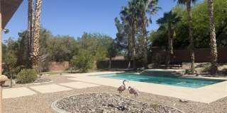 7109 Via Campanile Avenue Gallery 39