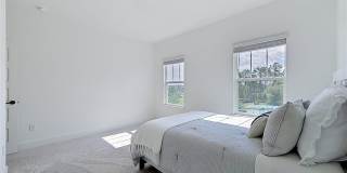 13568 AUTUMN HARVEST Avenue Gallery 31