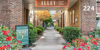 Alley South Lake Union Gallery 30