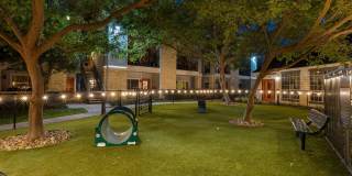 City Park in the Heights Gallery 12