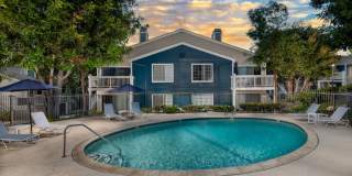 Harborview Gallery 10