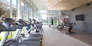 Windsor Metro West Gallery 29