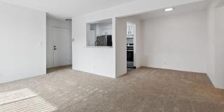 ReNew Woodland North and South Gallery 12