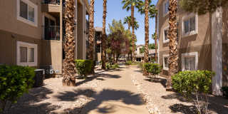 Amara Spring Valley Apartments Gallery 18